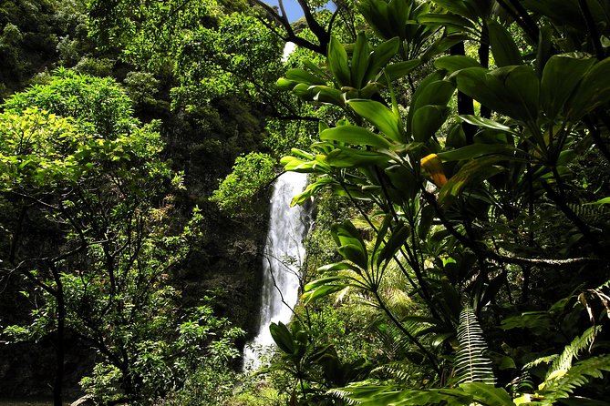 Maui: Road to Hana Luxury Limo-Van Tour with Helicopter Flight - Wai‘anapanapa and the black sand beach