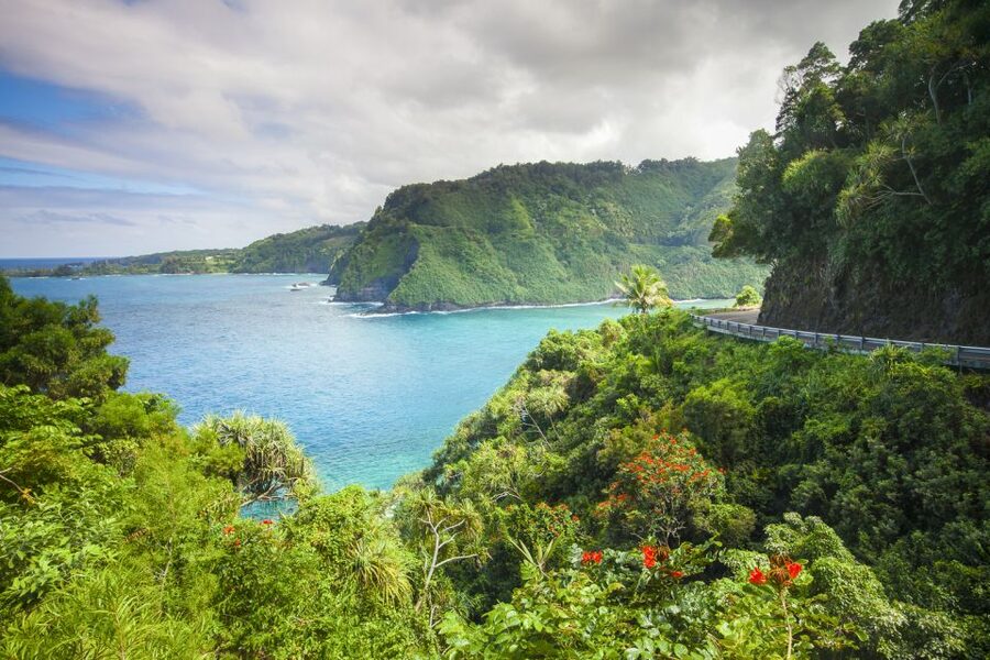 Maui: Small-Group Road to Hāna Sightseeing Tour - Comfort, motion sickness, and who should skip it