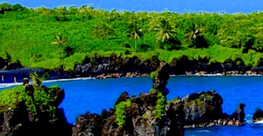 Maui: Small-Group Road to Hāna Sightseeing Tour - Why the Road to Hāna is better with a driver