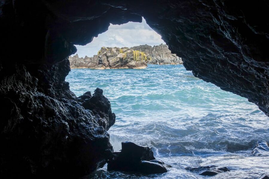 Maui: Small-Group Road to Hāna Sightseeing Tour - Rainforest stops, eucalyptus trees, and waterfall country