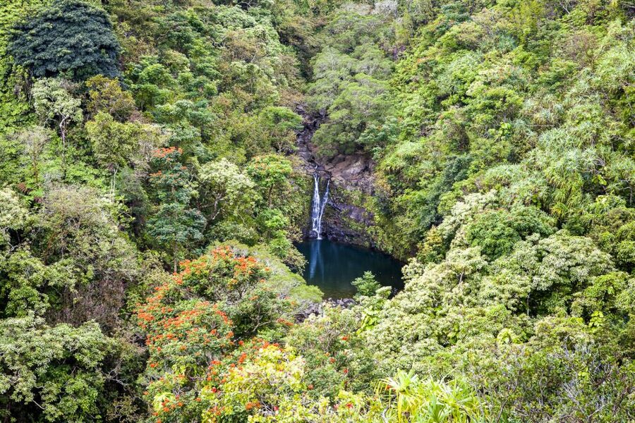 Maui: Small-Group Road to Hāna Sightseeing Tour - A hot BBQ lunch with a local touch