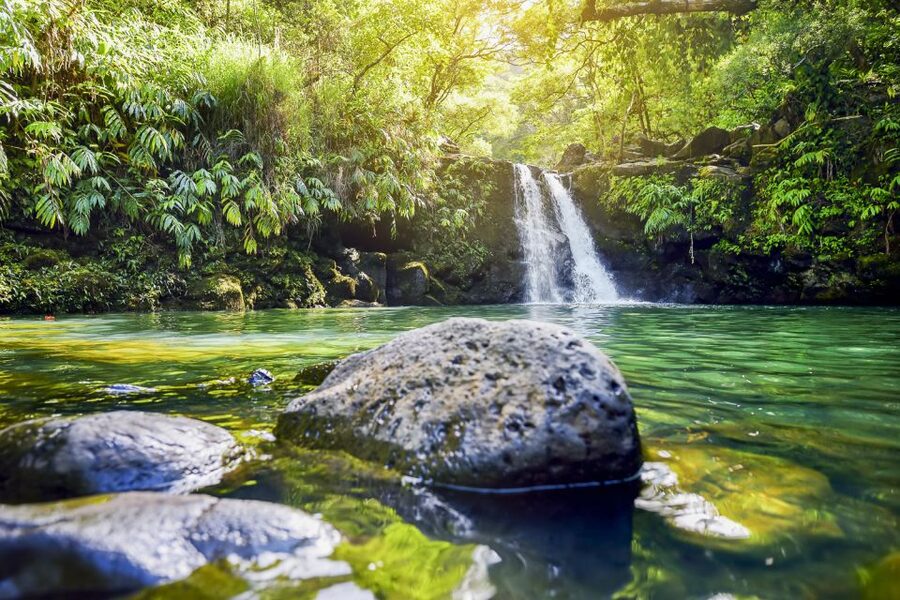 Maui: Small-Group Road to Hāna Sightseeing Tour - What the guides add to the day