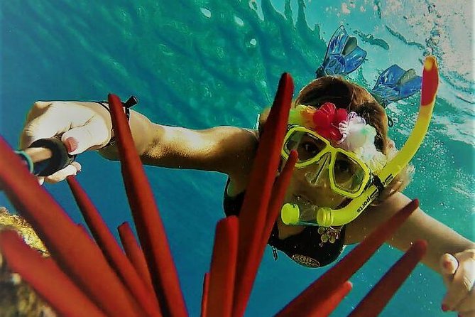 Maui Snorkel Adventure: Molokini Crater and Turtle Cove - Why this Maui snorkel trip works well
