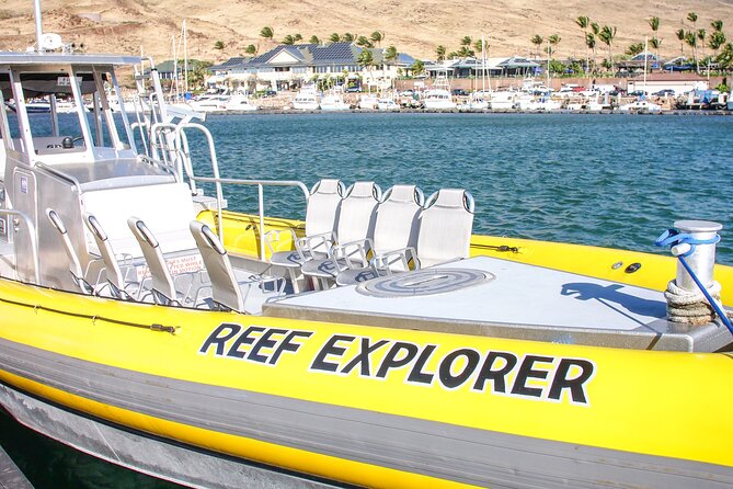Maui Snorkel Adventure: Molokini Crater and Turtle Cove - Stop two: Molokini Crater