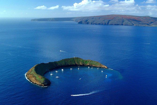 Maui Snorkeling Adventure From Ma'alaea Harbor to Molokini - Breakfast, Lunch, and the Value of the Price