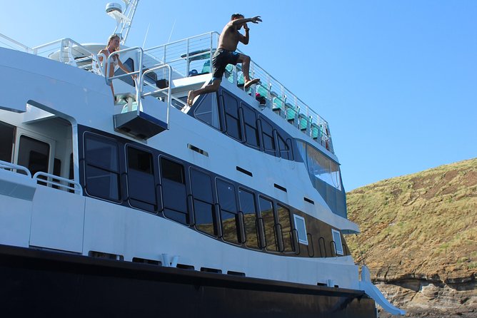 Maui Snorkeling Adventure From Ma'alaea Harbor to Molokini - Whale Watching Can Change the Day