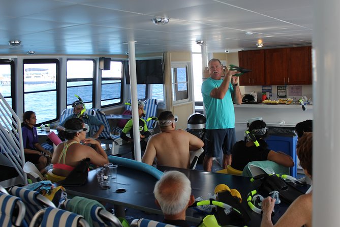 Maui Snorkeling Adventure From Ma'alaea Harbor to Molokini - Who Should Book This Maui Snorkeling Cruise?