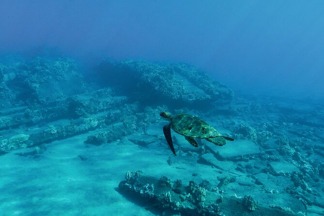 Maui Snorkeling Boat Tour to Turtle Town Aboard Quicksilver - Makena Landing and the Turtle Town question