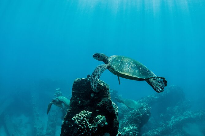 Maui Snorkeling Boat Tour to Turtle Town Aboard Quicksilver - McGregor Point Light and the coastal ride