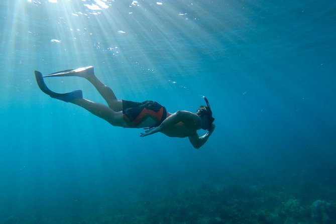 Maui Snorkeling Boat Tour to Turtle Town Aboard Quicksilver - Who should book, and who should think twice