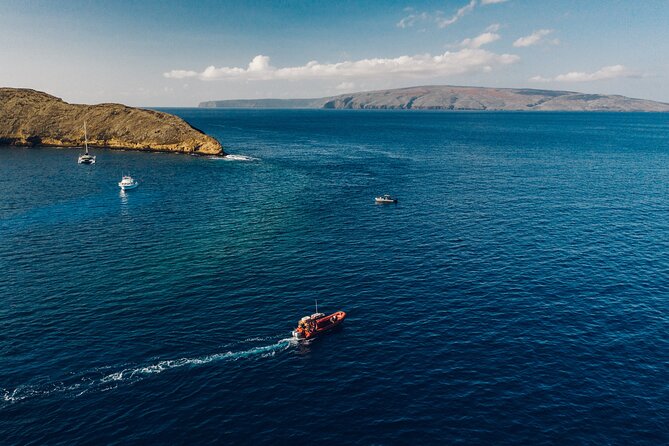 Maui South Coast and Molokini Crater Adventure from Kihei - Turtle Town and the search for Hawaiian green sea turtles