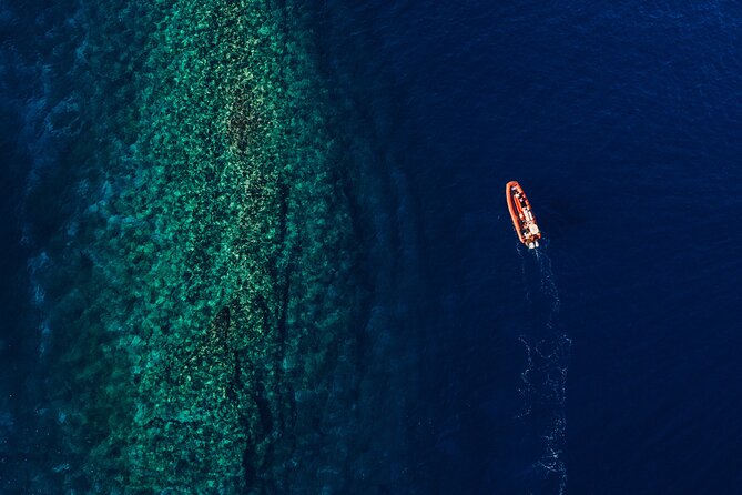 Maui South Coast and Molokini Crater Adventure from Kihei - The crew, music, and small-boat personality