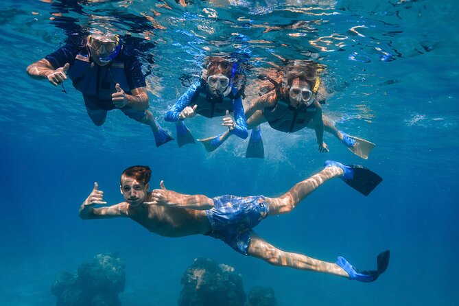 Maui: Turtle Town Snorkel with Photo and Video - Photos and video make the price easier to judge