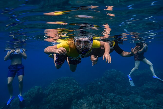 Maui: Turtle Town Snorkel with Photo and Video - Guides make the biggest difference