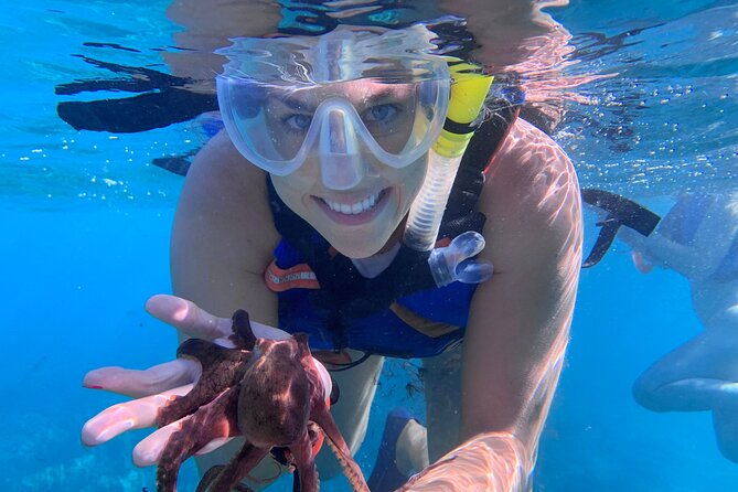Maui: Turtle Town Snorkel with Photo and Video - My take on the $129 price