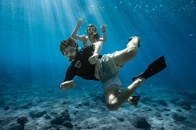 Maui: Turtle Town Snorkel with Photo and Video - The one-hour search for turtles