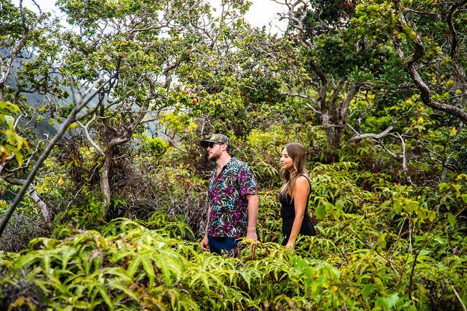 Maui: VIP Private Road to Hana Tour with Pick Up - Waiʻanapanapa brings black sand and volcanic drama