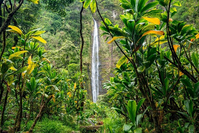 Maui: VIP Private Road to Hana Tour with Pick Up - Upper Waikani Falls is a quick Three Bears photo stop