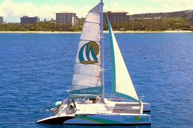 Maui: Whale Watching Cruise with Open Bar from Ka'anapali Beach - Leaving From Ka’anapali Beach