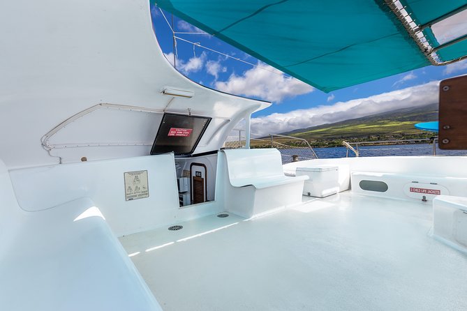 Maui: Whale Watching Cruise with Open Bar from Ka'anapali Beach - What Whale Encounters May Look Like