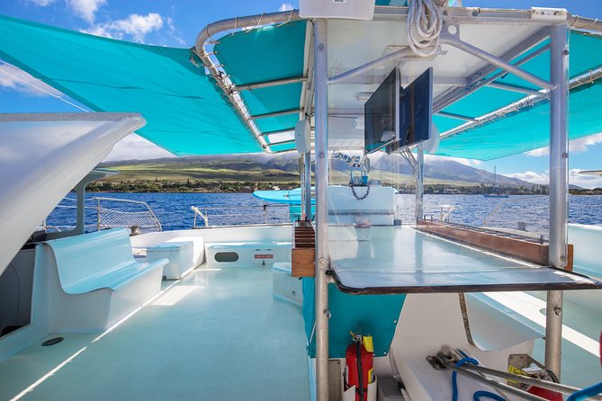 Maui: Whale Watching Cruise with Open Bar from Ka'anapali Beach - Open Bar, Snacks, and the Mood Aboard
