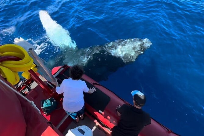 Maui Whale-Watching Tour by Raft from Kihei - Starting at the Kihei Boat Ramp