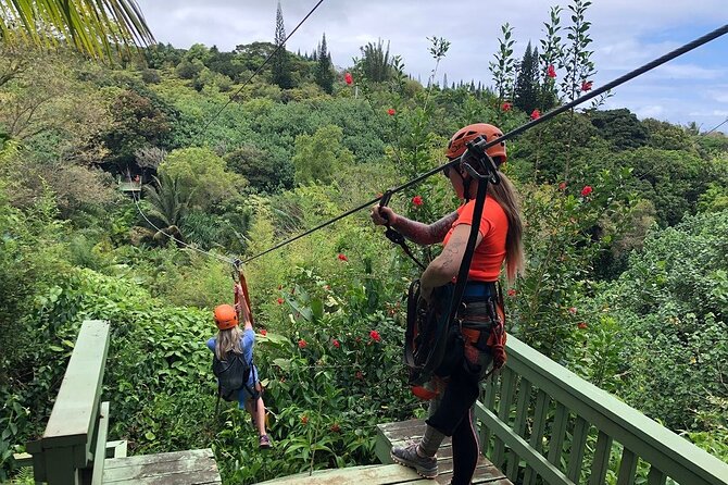 Maui Zipline Eco Adventure: 8 Lines through the Jungle - Key points before you book