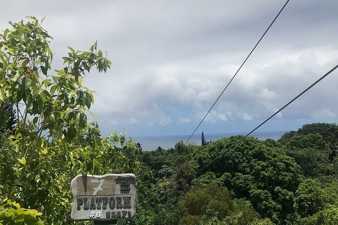 Maui Zipline Eco Adventure: 8 Lines through the Jungle - Eight ziplines through tropical vegetation
