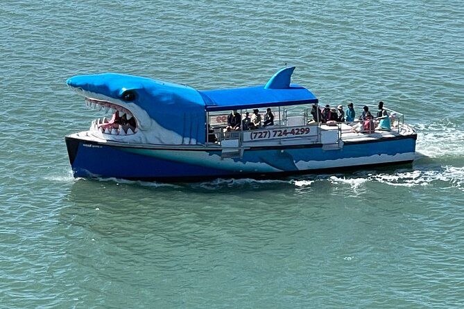 Mega Bite Dolphin Tour Boat in Clearwater Beach - Key things to know before boarding