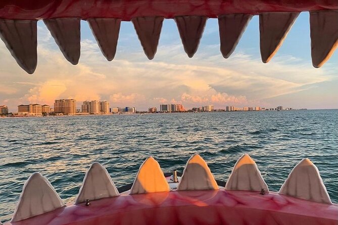 Mega Bite Dolphin Tour Boat in Clearwater Beach - What the Mega Bite boat ride is really like