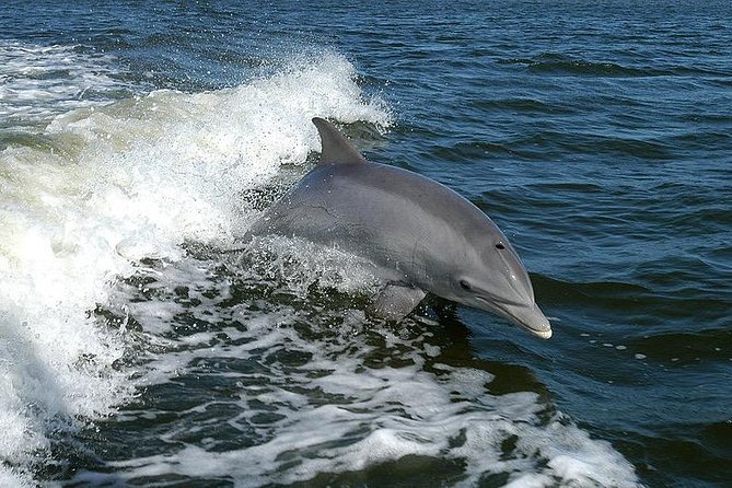 Mega Bite Dolphin Tour Boat in Clearwater Beach - The opening ride along Clearwater Beach