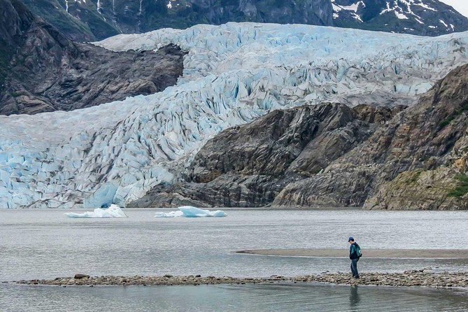 Mendenhall Glacier Visitor Center and Ultimate Whale Watch Combo - Who should choose this excursion