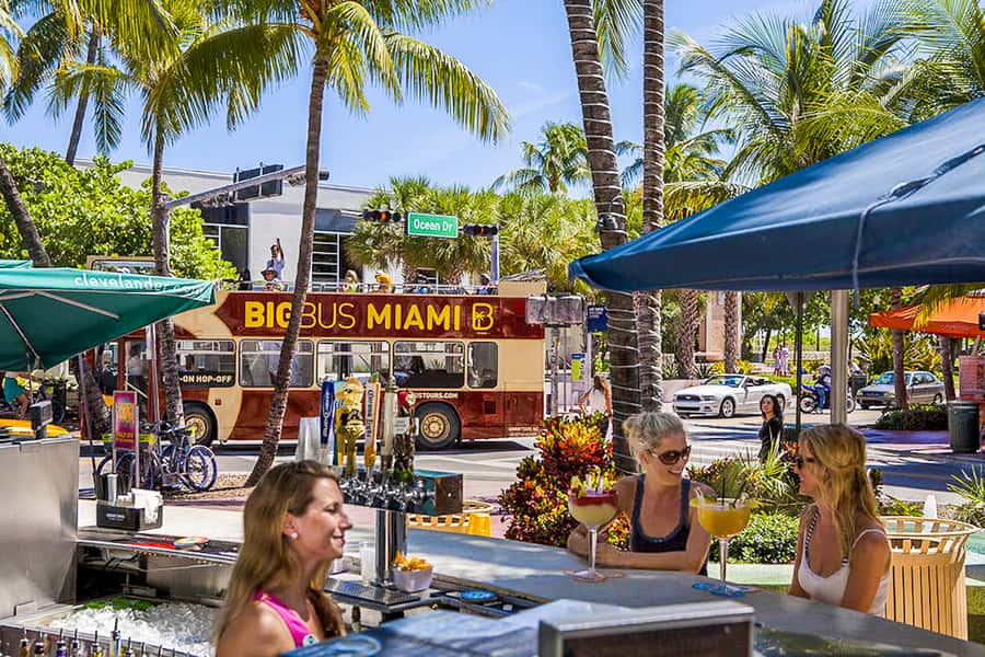Miami: Everglades Experience, Bay Cruise & Open-Top Bus Tour - Key things to know before you book