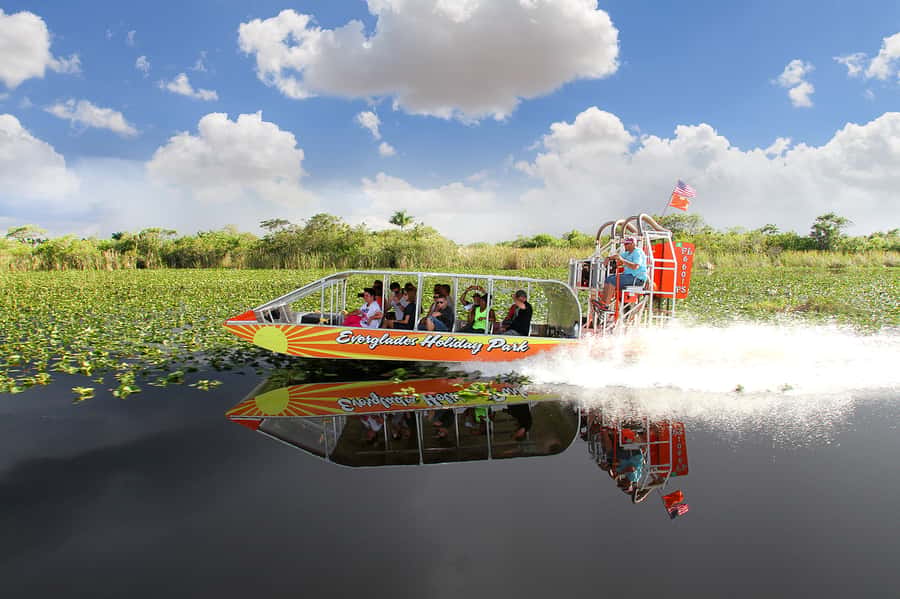 Miami: Everglades Experience, Bay Cruise & Open-Top Bus Tour - FAQ