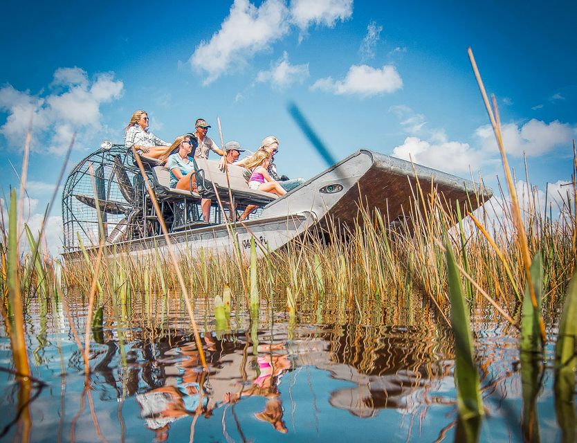 Miami: Everglades National Park Airboat Tour & Wildlife Show - Sawgrass, mangroves, hammocks, and the River of Grass