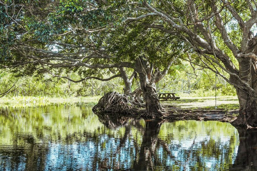 Miami: Everglades National Park Airboat Tour & Wildlife Show - Who will enjoy this most