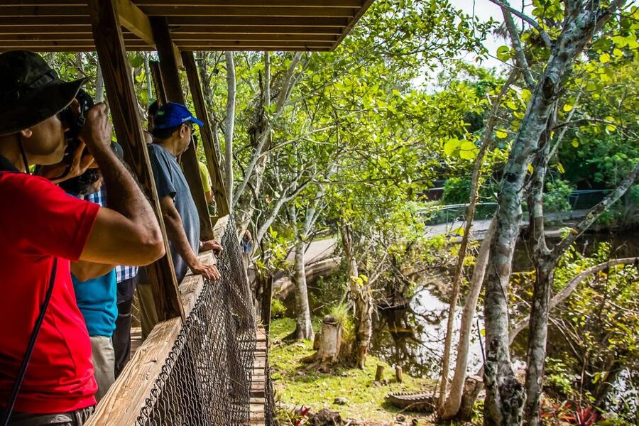 Miami: Everglades Safari Park Airboat Tour - Small details that improve the visit