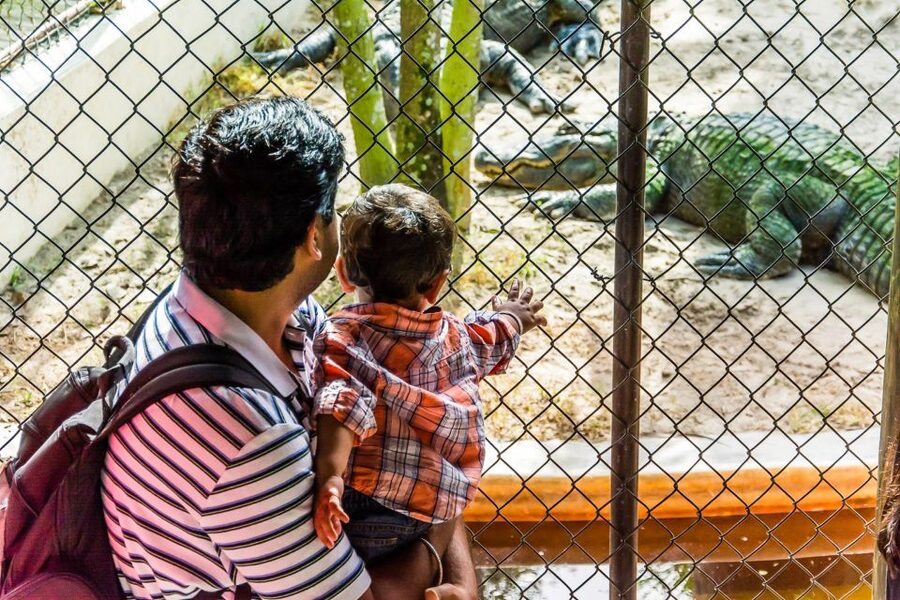 Miami: Everglades Safari Park Airboat Tour - Who will enjoy this Everglades outing most