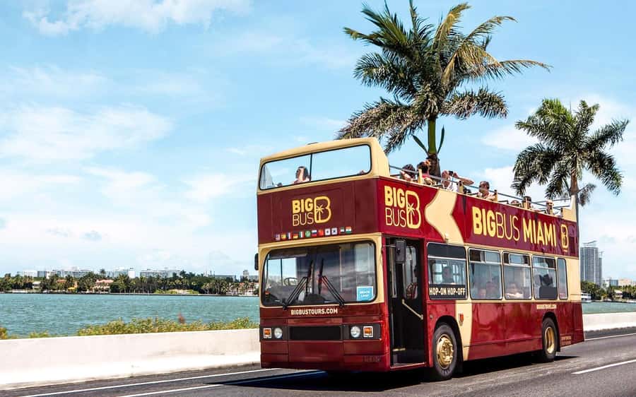 Miami: Hop-on Hop-off Open-top Bus Tour and Optional Cruise - South Beach, Ocean Drive, and Art Deco details
