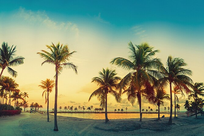 Miami: Open-top Bus Sightseeing Night Tour with Live Guide - What this Miami night ride actually offers