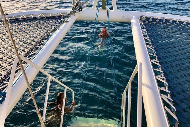 Moana’s Waikīkī Grand Guided Turtle Snorkel & Sailing Adventure - Turtle Canyon and the search for sea turtles