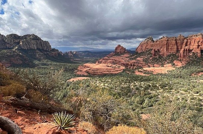 Mogollon Rim Run Supreme Jeep Tour from Sedona - What the $136.25 price buys you
