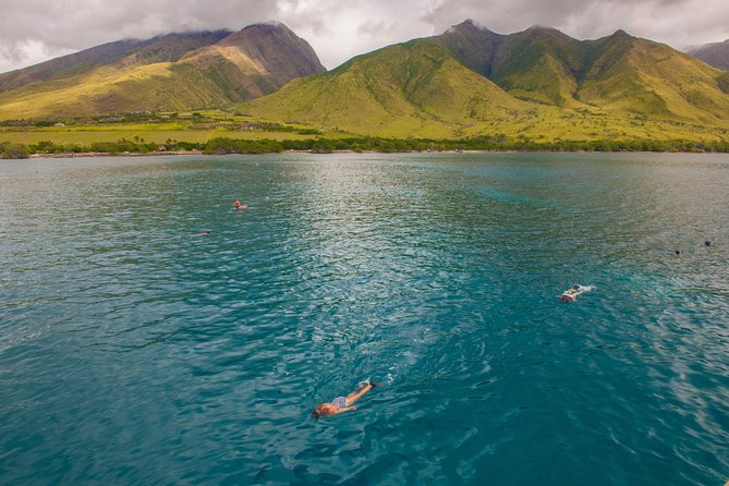 Molokini and Turtle Arches Snorkeling Trip from Ma'alaea Harbor - Breakfast first, then a useful safety briefing