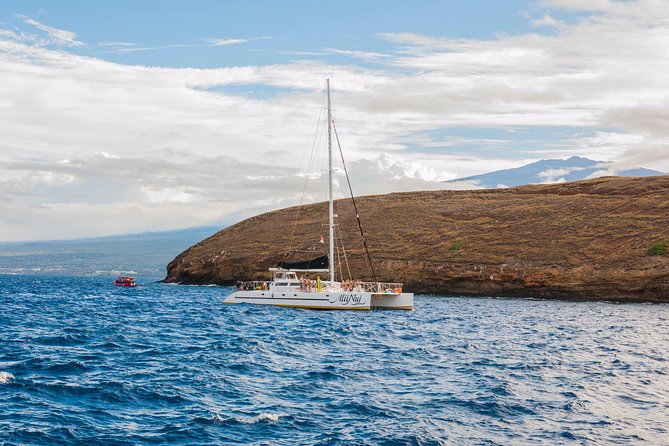 Molokini and Turtle Arches Snorkeling Trip from Ma'alaea Harbor - How the crew handles a real ocean day