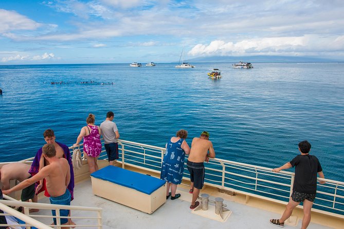 Molokini and Turtle Arches Snorkeling Trip from Ma'alaea Harbor - Who will enjoy this trip most?