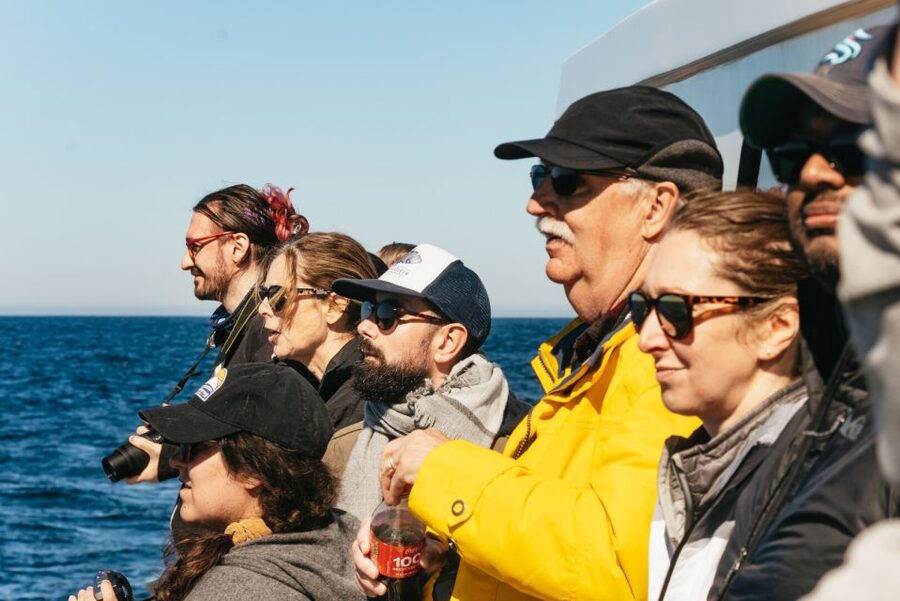 Monterey Bay: Whale Watching Tour - Is $75 a fair price?