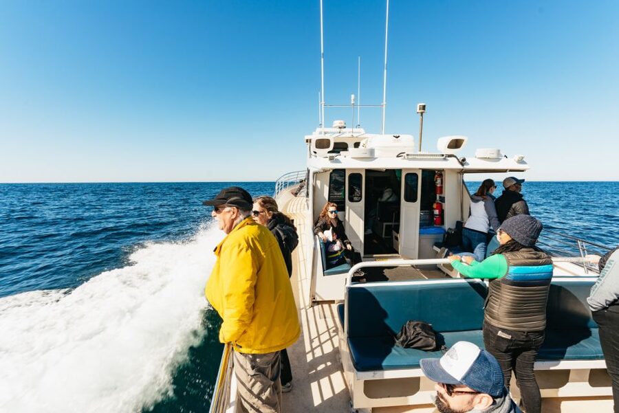 Monterey Bay: Whale Watching Tour - Why Monterey Bay is such a strong whale-watching choice