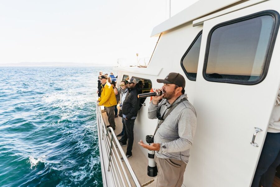 Monterey Bay: Whale Watching Tour - Summer and fall: feeding whales close to the boat