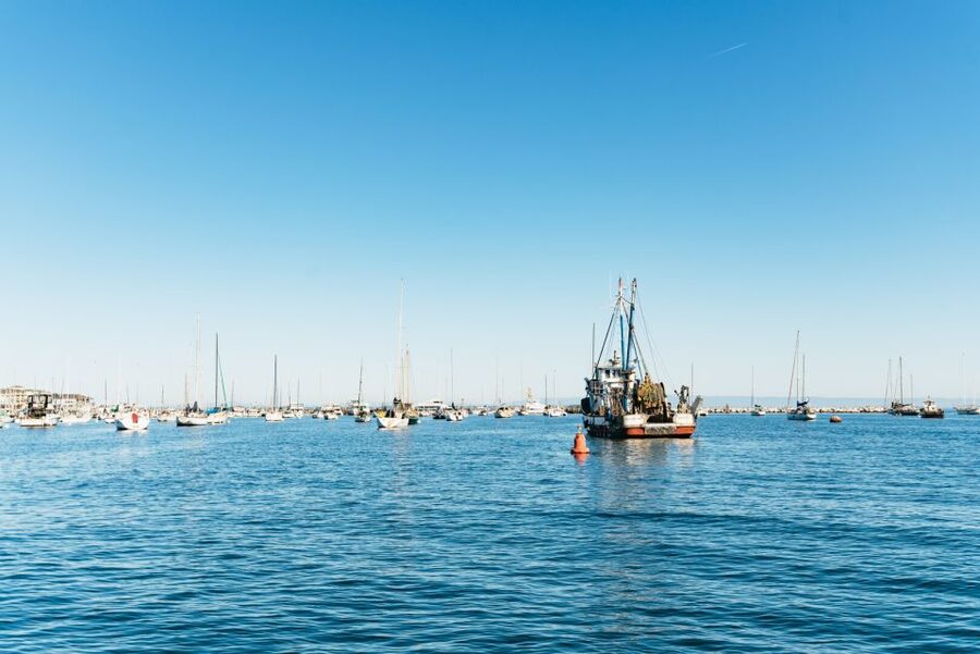 Monterey Bay: Whale Watching Tour - Motion sickness and what to wear