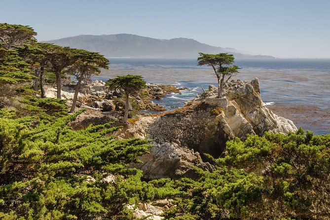 Monterey, Carmel and 17-Mile Drive: Full Day Tour from SF - Davenport Cafe: coffee, snacks, and a practical break